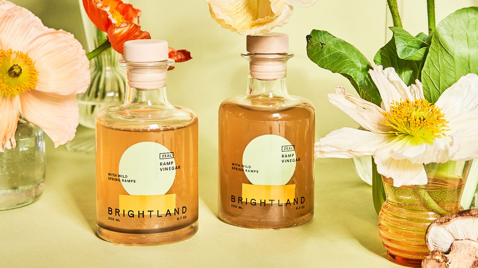 Brightland debuts new limited-edition ramp vinegar just in time for spring salads | CNN Underscored