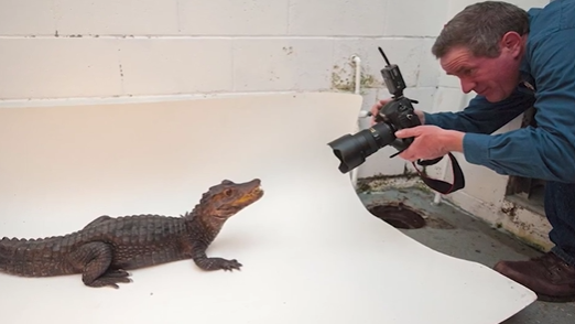 photoark pic 3.png
