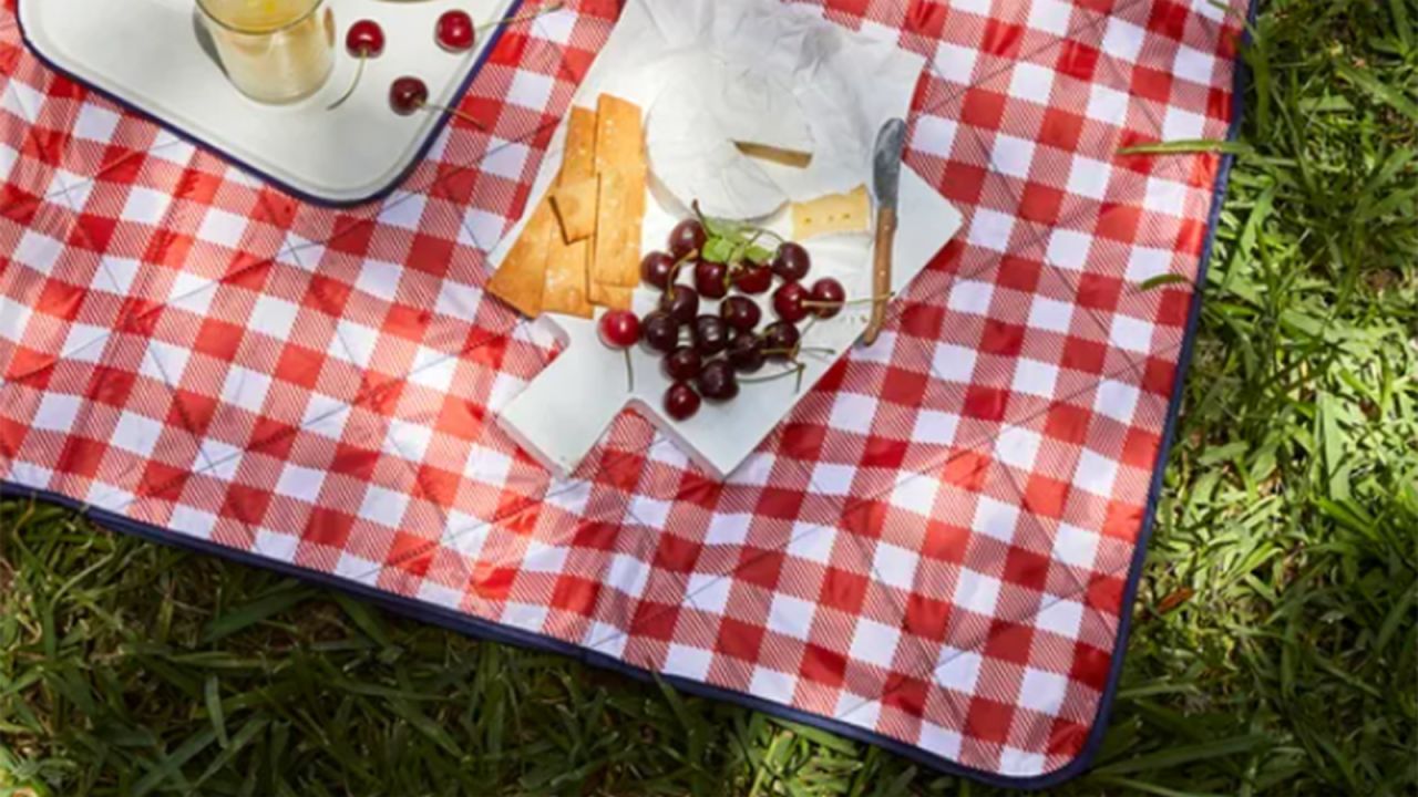 Low-cost picnic essentials
