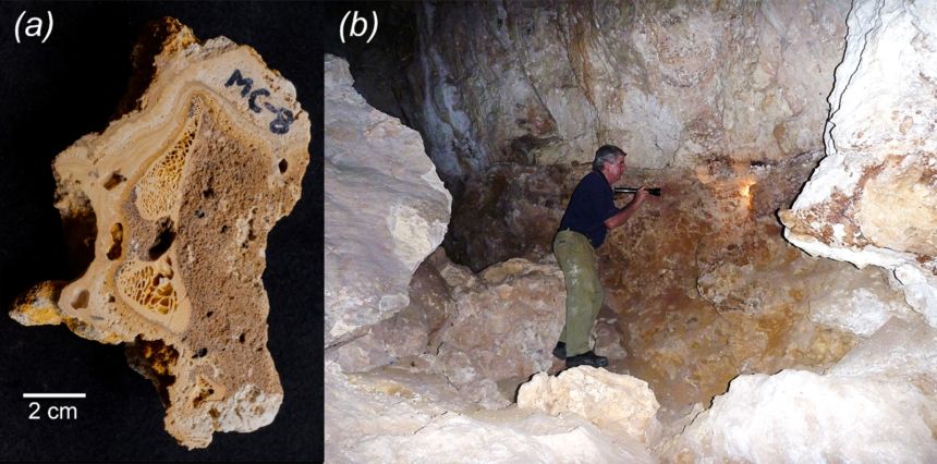 Mineral deposits coat a fossil bone (left) from an excavation site in Mammoth Cave. The late Lindsay Hatcher (right), a study coauthor, indicates where the sample was obtained.