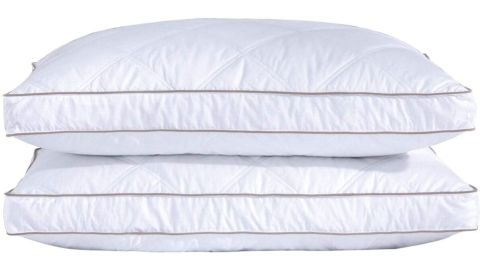 Puredown Goose Feathers and Down Pillow, 2-Pack