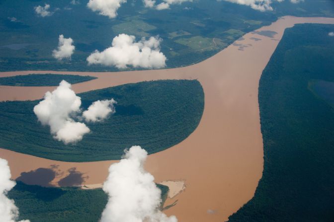 Pictured, an aerial view of the Amazon River. Trujillo says that overfishing, pollution and habitat loss are some of the reasons why Amazonian freshwater dolphin populations are in decline.