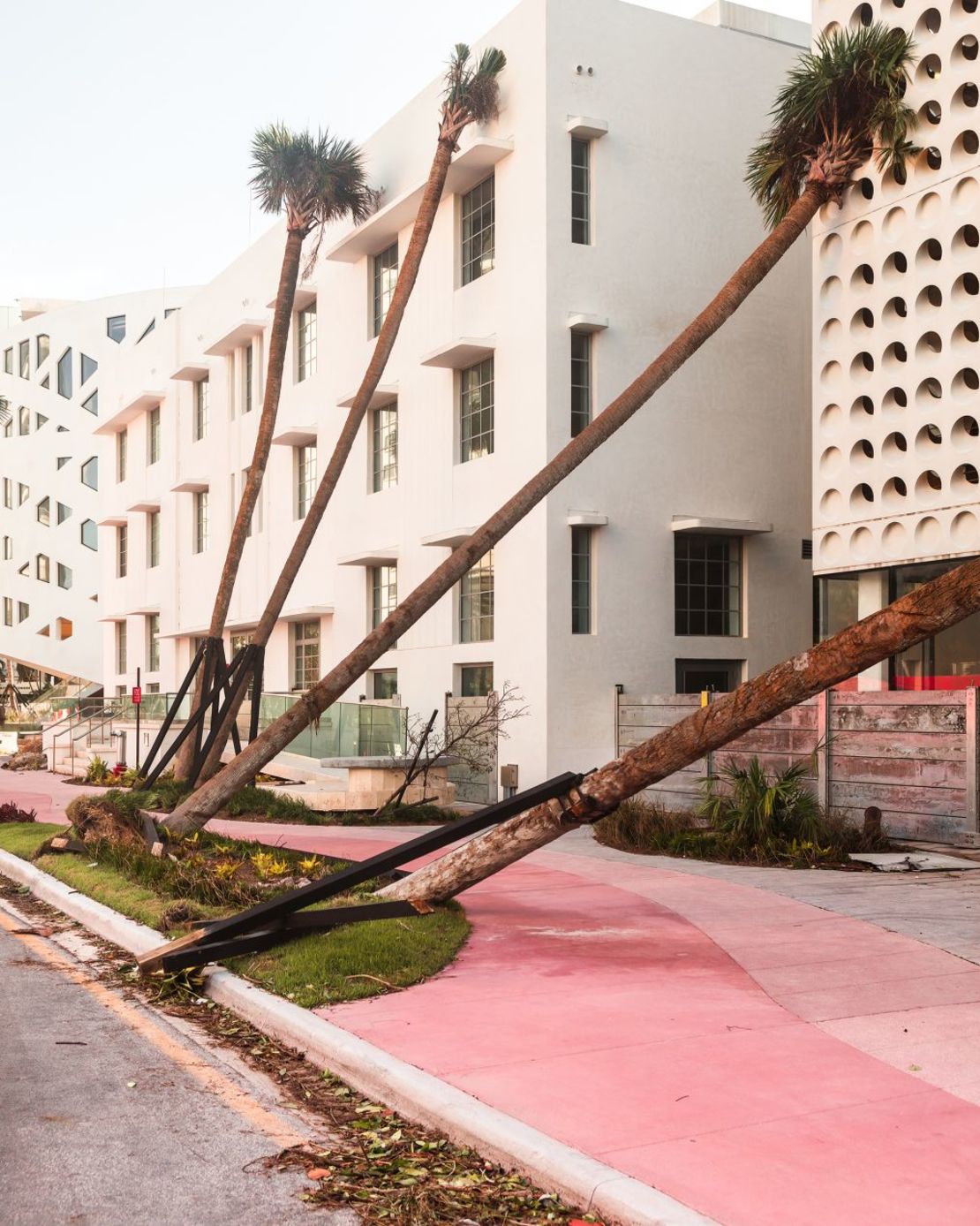 La obra de Samoylova fusiona paletas de colores rosa pastel con imágenes de flora y fauna desplazadas, mostradas aquí en “Pink Sidewalk” (2017).