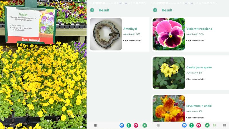 Best Plant Identification Apps For Mobile In 2024 Tested By Our   Plant Id Inline Cnnu 