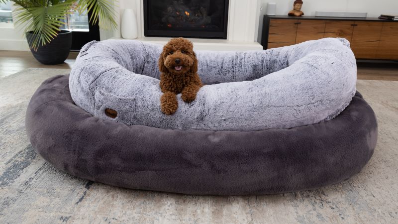 Cyber monday dog beds best sale