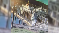 plunge.png