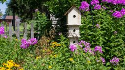 pollinator garden lead cnnu.jpg