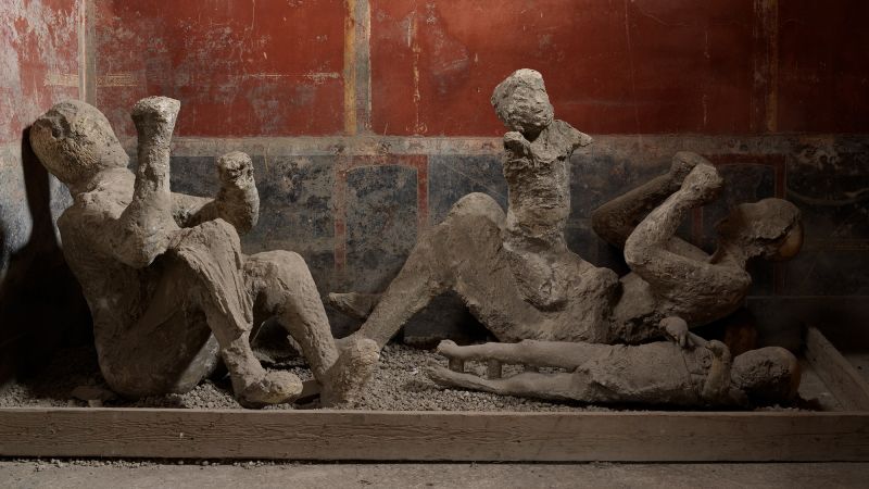 Ancient DNA reveals surprises about bodies found together in Pompeii