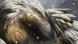 Portrait-Dromaeosaur-in-the-snow-by-Davide-Bonadonna-crop.jpg