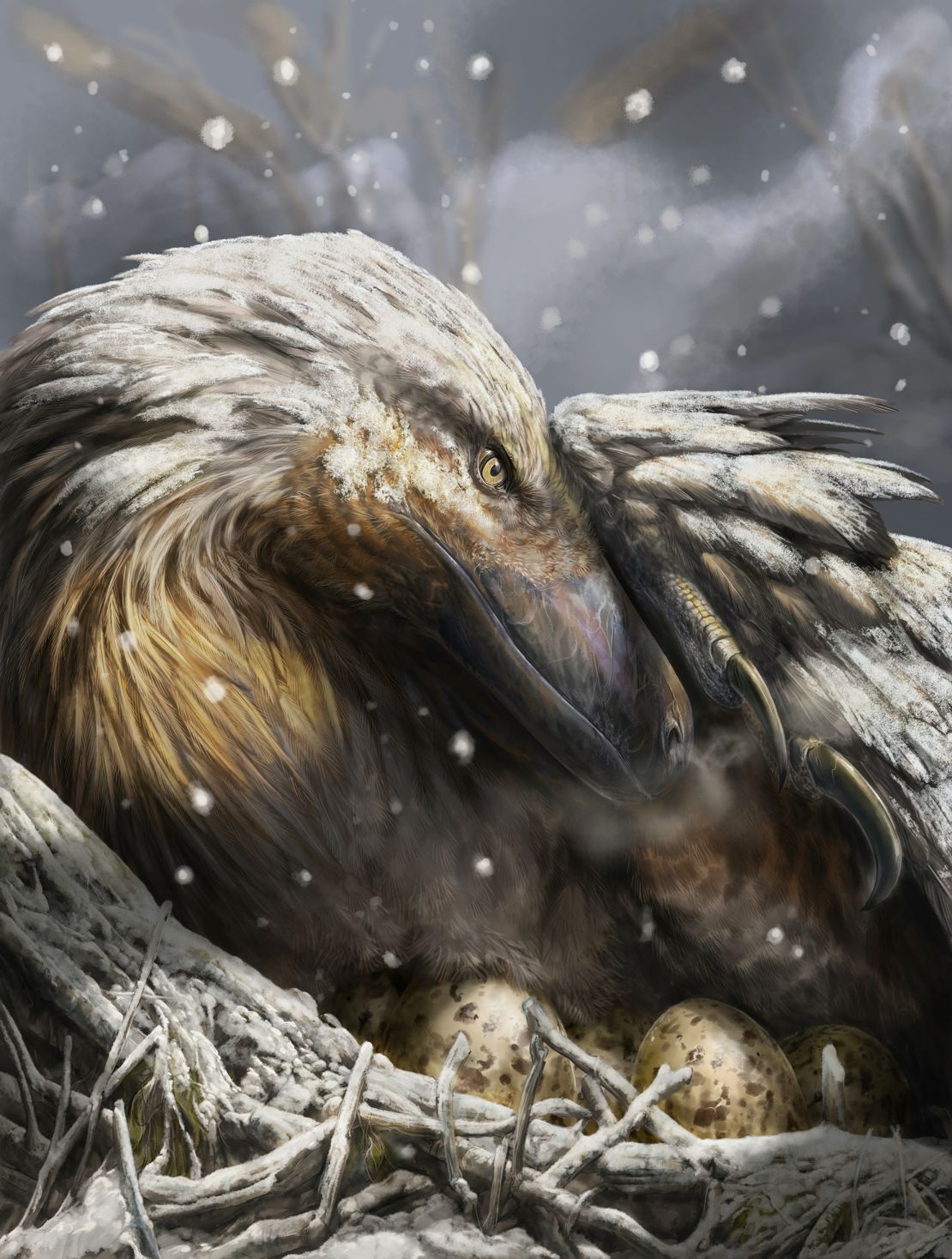 Fossils have revealed that dinosaurs lived year-round in cold climates like the Arctic.