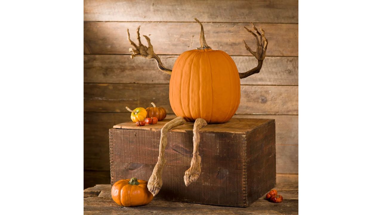 posable pumpkin.jpg