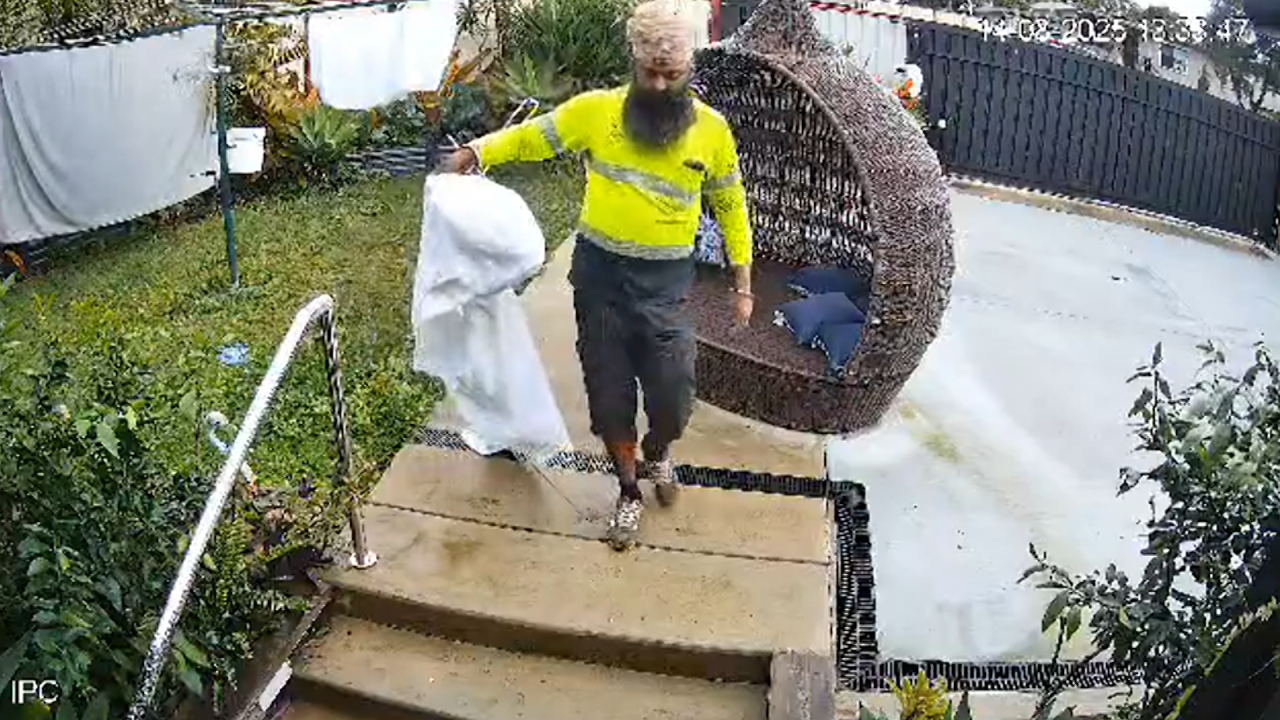 Postman Laundry Hero THUMB.png