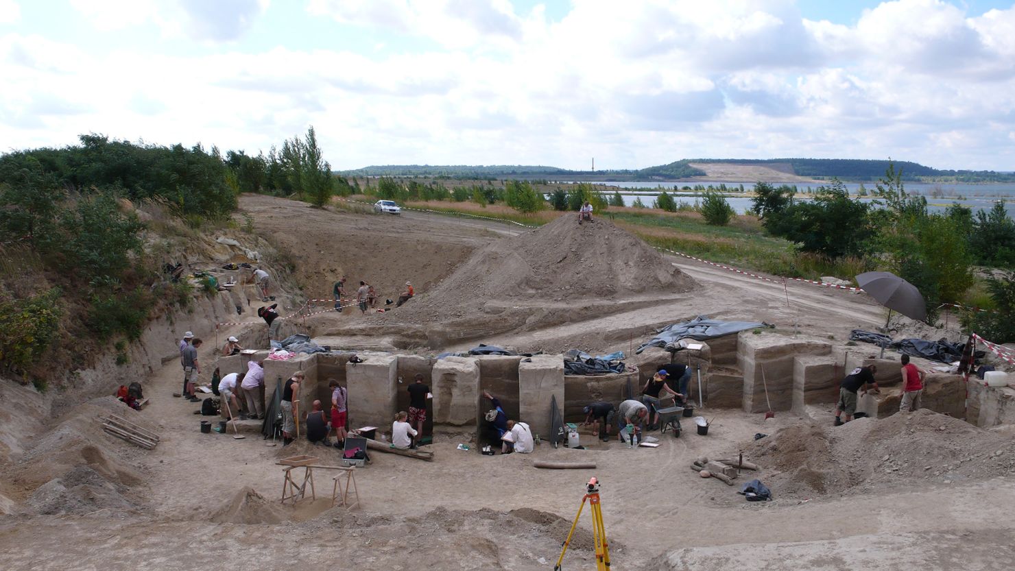 The archaeological site in Germany was excavated from 2004 to 2009.