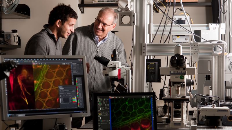 A researcher with hearing loss got a grant to study restoring hearing. The Trump administration cancelled it because of DEI