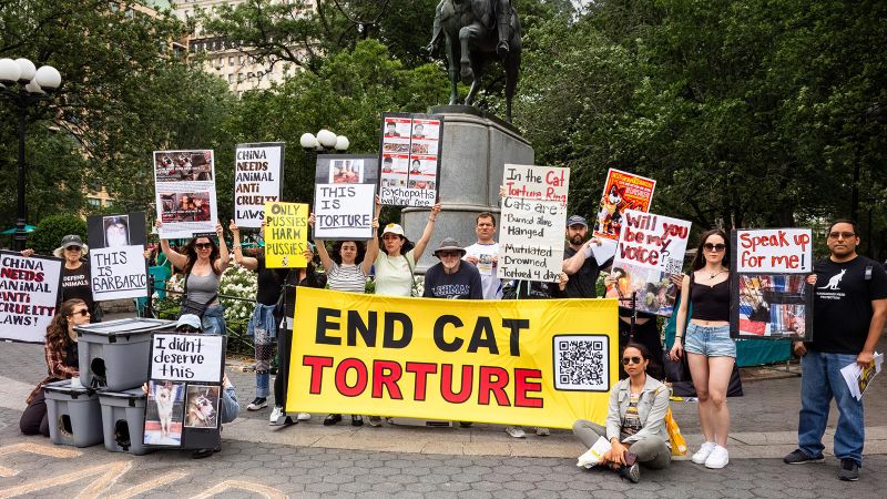 Exclusive: Inside the shadowy global networks that torture cats for profit
