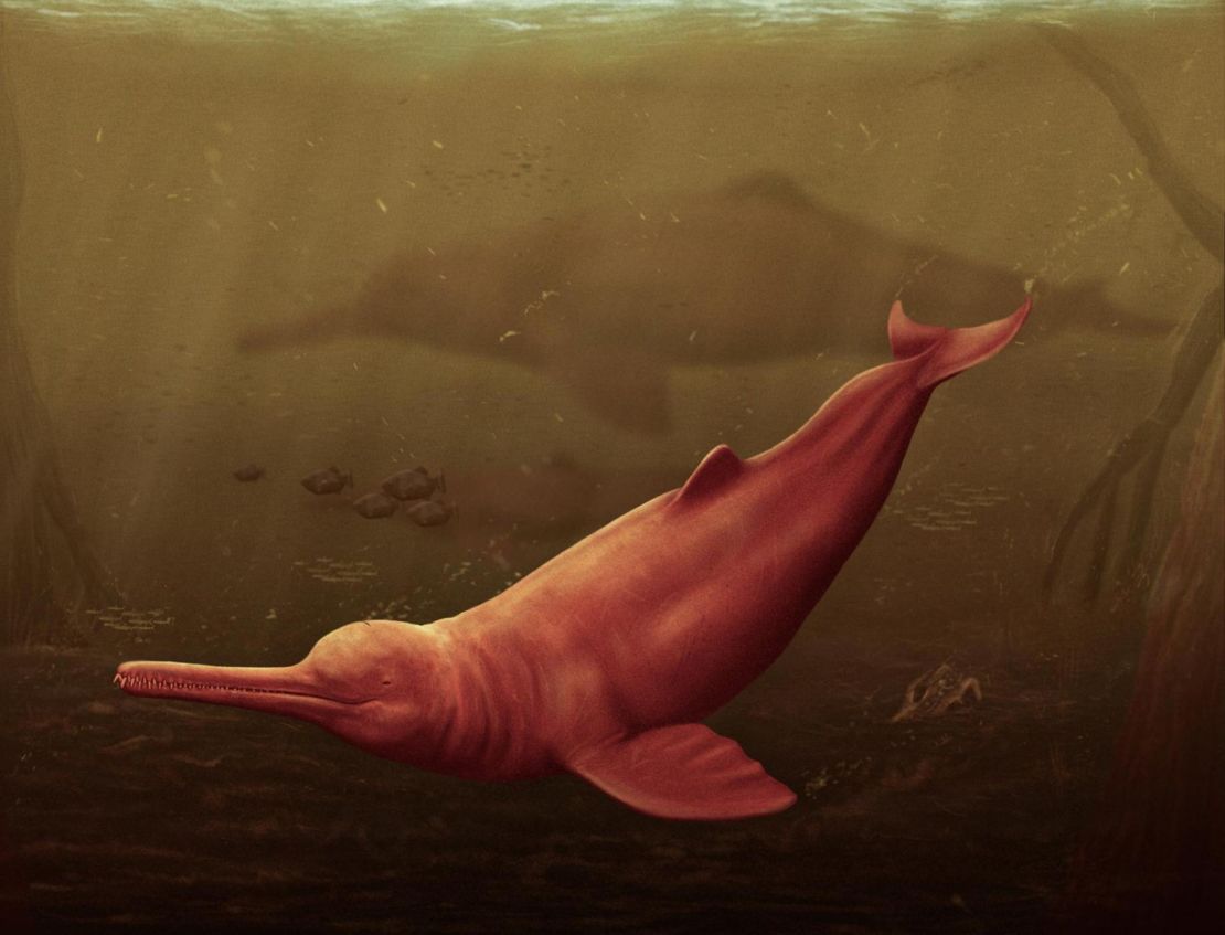 An artist's reconstruction depicts Pebanista yacuruna in the murky waters of the Peruvian proto-Amazonia.