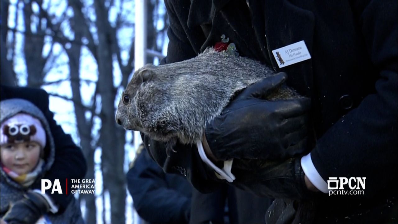 Groundhog Day Punxsutawney Phil sees his shadow, predicts six more