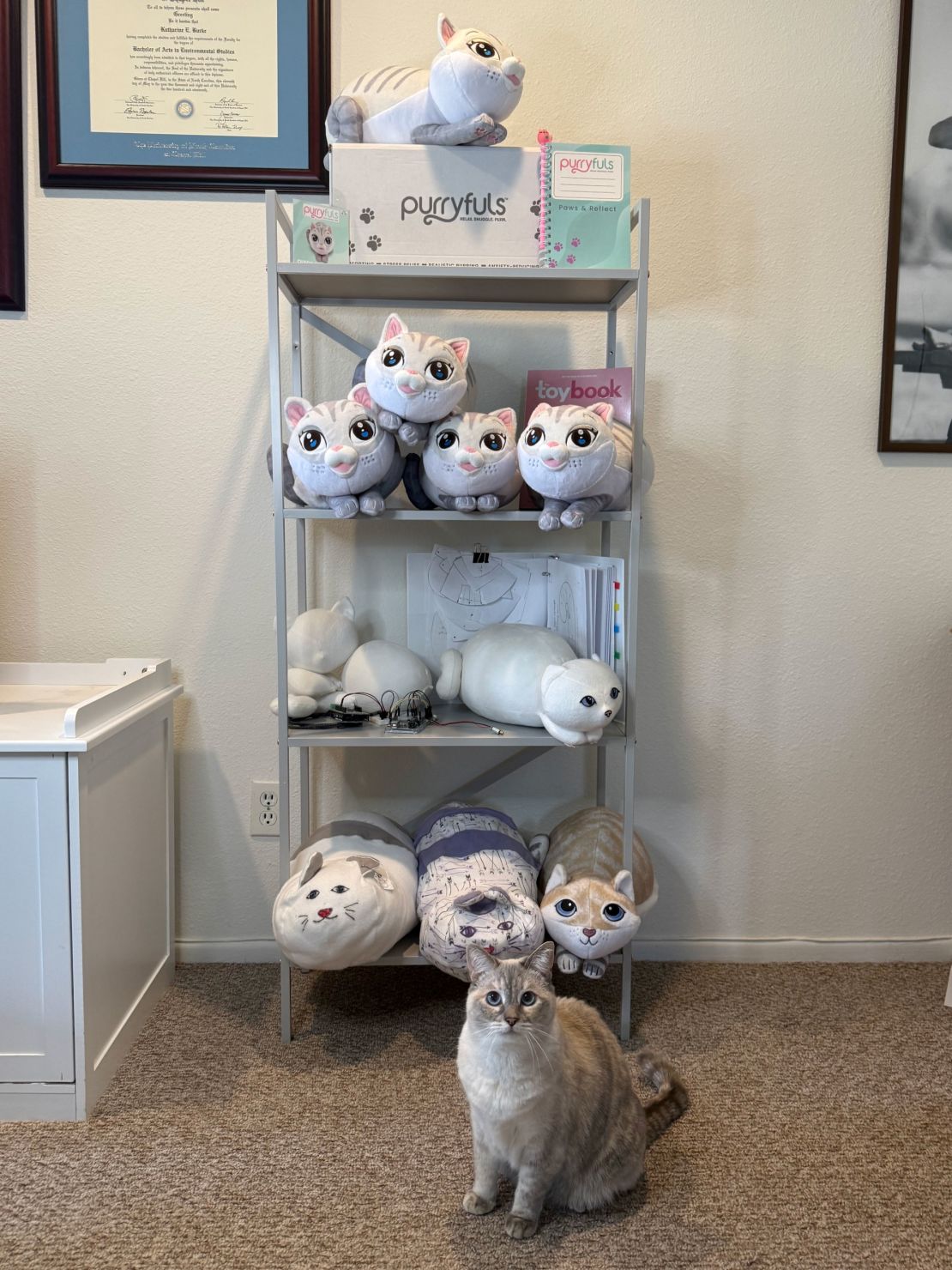 The evolution of Purryfuls purring plushies, including prototypes to the finished product, April 2025. In the foreground is Wren, founder Katharine Burke's Siamese tabby cat who served as the inspiration for the product.