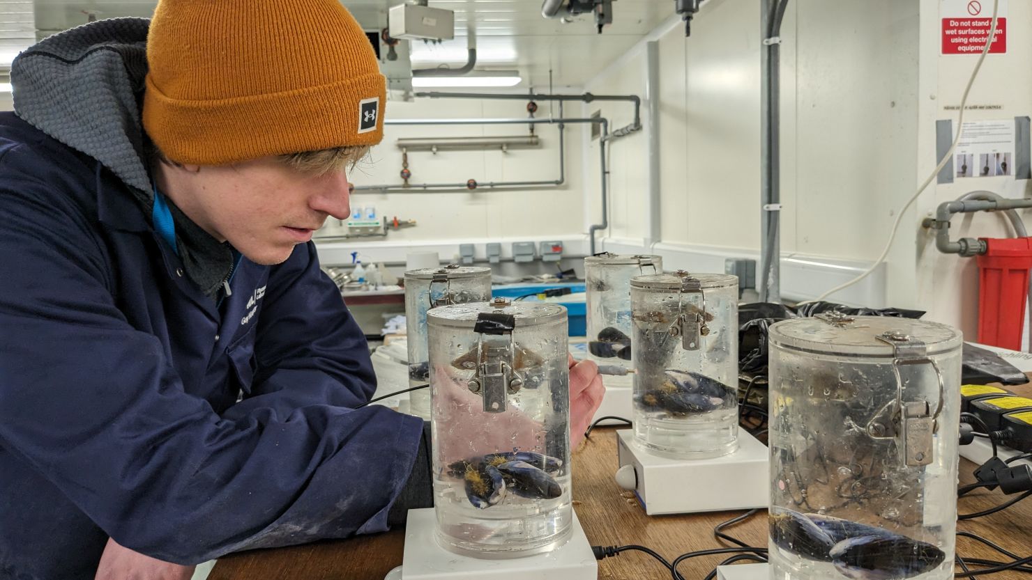 A pilot project led by the UK's University of Exeter is capturing carbon from seawater.