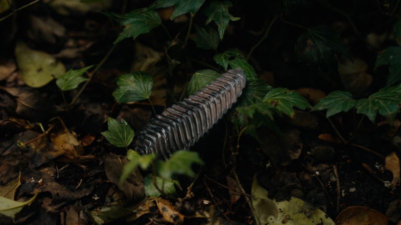Това устройство с размер на Pinecone може да трансформира борбата срещу пожари 