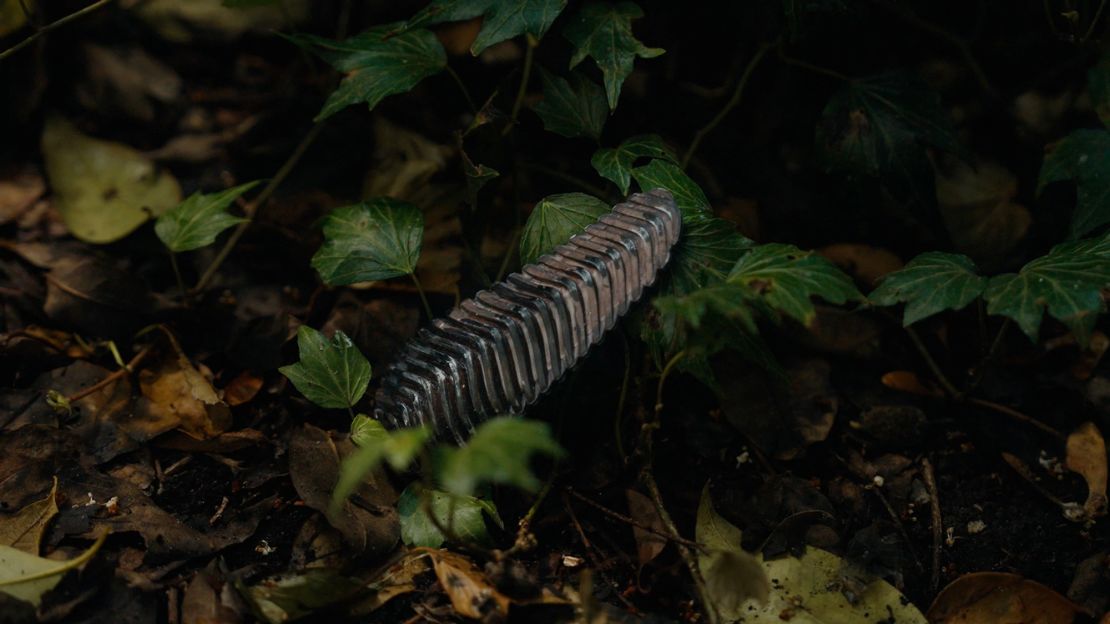 Designed to blend in with nature, the latest prototype weighs around 150 grams.