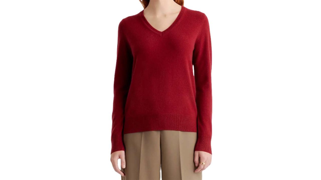 Quince Mongolian Cashmere V-Neck Sweater.jpg