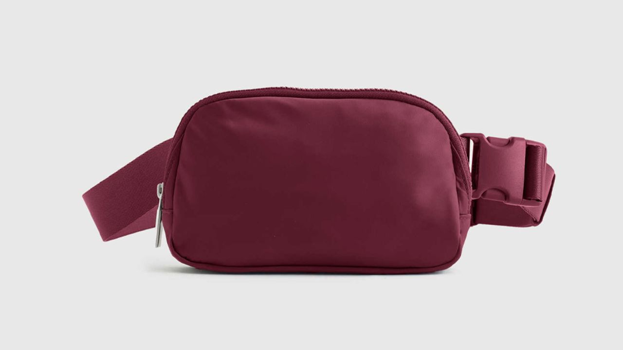 Quince Revive Nylon Belt Bag