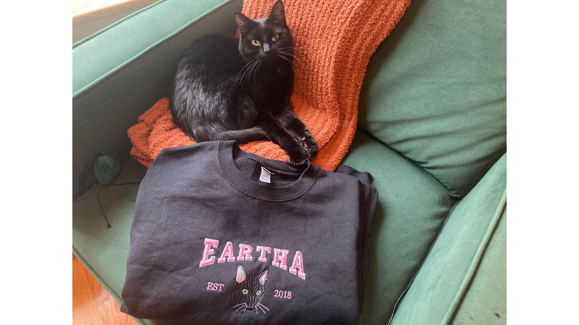 https://media.cnn.com/api/v1/images/stellar/prod/rachel-l-personalized-cat-sweatshirt.jpg?c=original