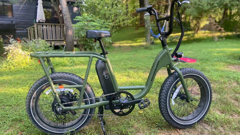 A Rad Power RadRunner2 electric bike parked on a sun-dappled lawn