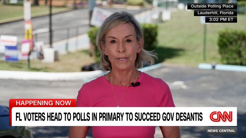 Florida primary election 2026: bitter fight to succeed term-limited Gov. Ron DeSantis comes to a head today