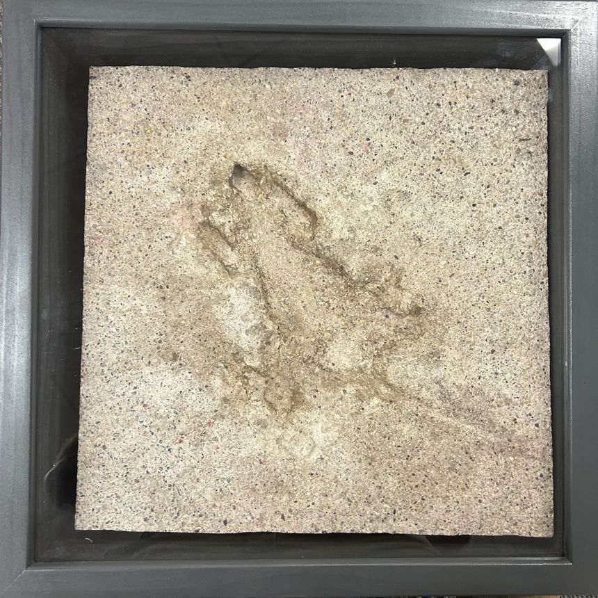 The imprint is currently not on display to the public.