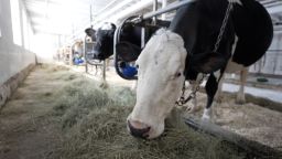 raw-milk-bird-flu-safety-waldman-digvid-1.jpg