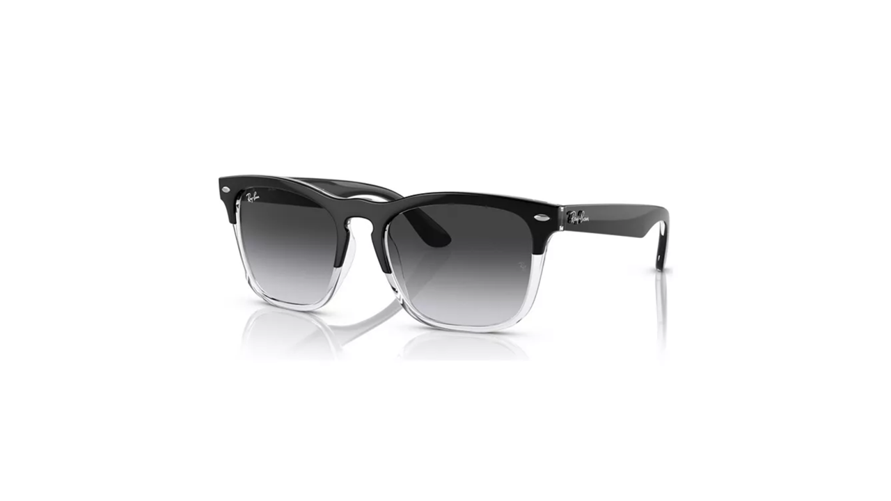 Raybans Unisex Large.png
