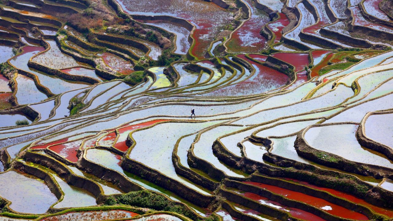 Raymond Zhang, Walking on the Palette, 2024. David Wolf Kaye Future Potential Award.JPG