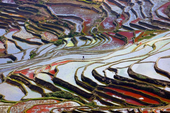 Fourteen-year-old Raymond Zhang, a student from Shanghai, China, was awarded the future potential award for his photograph of a farmer walking along terraces in southern China.