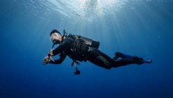 Raymond Zhong diving.png