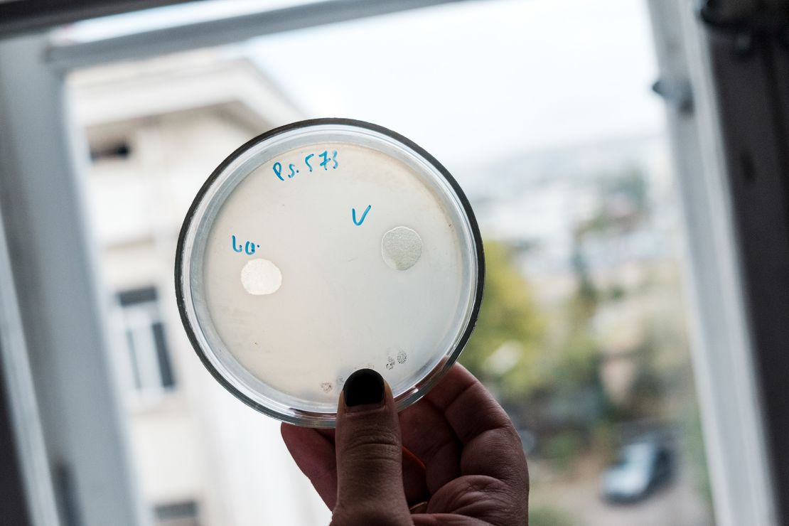 Cultures of phages are being examined at the Eliava Institute in Tbilisi, Georgia, where phages have been used to treat infections for decades.
