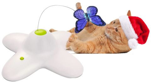 All for Paws Interactive Flutter Bug Cat Butterfly Toy
