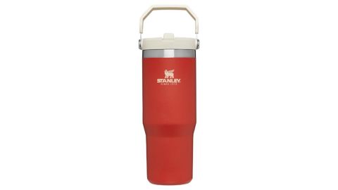 Stanley IceFlow Straw Tumbler