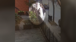 RenameThisHorizontal.00_00_16_24.Still001.png