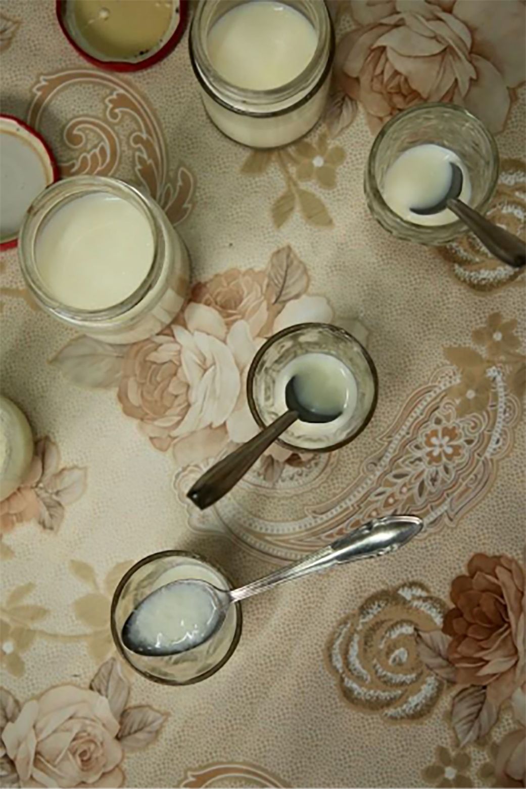 Researchers taste the ant yogurt.