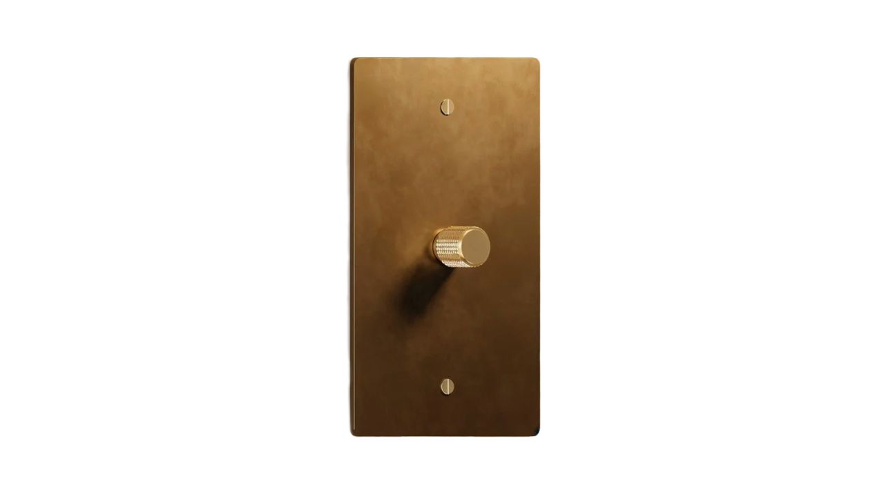 Residence Supply Brass Rotary Dimmer Switch.jpg