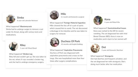 Cat +Dog Reviews (1600x900).png