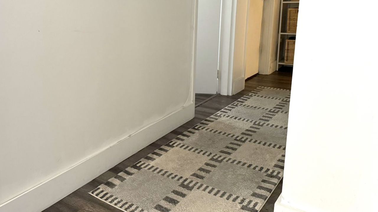 Washable Revival Rug in a hallway