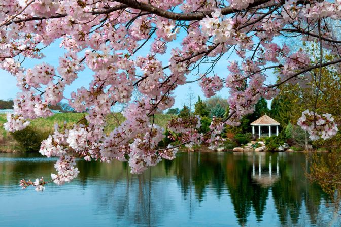 <strong>Blossoming city: </strong>The Lewis Ginter Botanical Garden is one of Richmond's outdoor attractions.