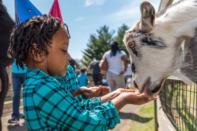 <strong>Maymont: </strong>At Maymont, a 100-acre historic estate and park, an on-site farm offers animal encounters.