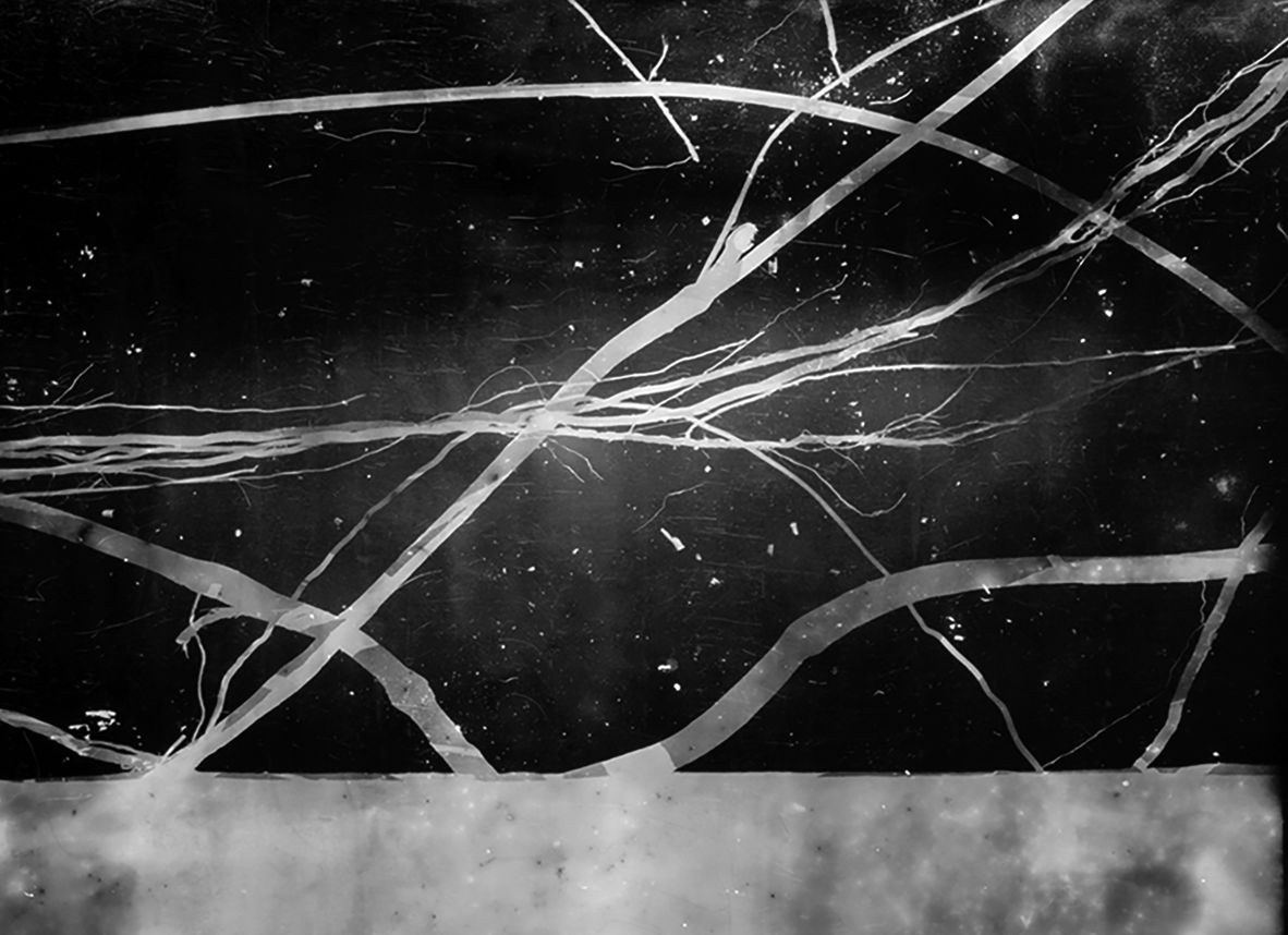 Roberto Huarcaya and his team were exposing a 30-meter roll of photosensitive paper beneath a fallen palm tree on the banks of the Amazon, when four flashes of lightning imprinted the scene onto the paper. The result was his series “Amazogramas.”