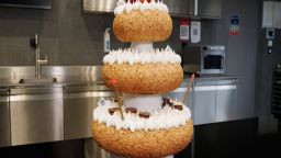 Robocakedigividstill1.jpg
