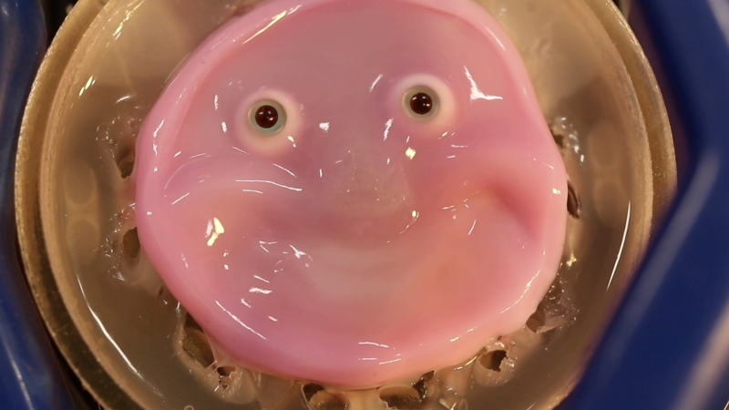 This smiling robot's face is covered in living skin