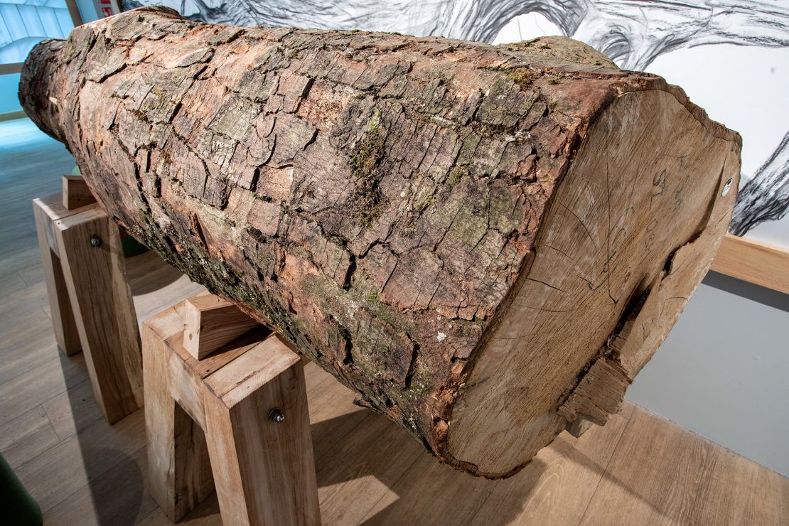 The largest part of the salvaged trunk of the Sycamore Gap Tree will be on display in a public 
